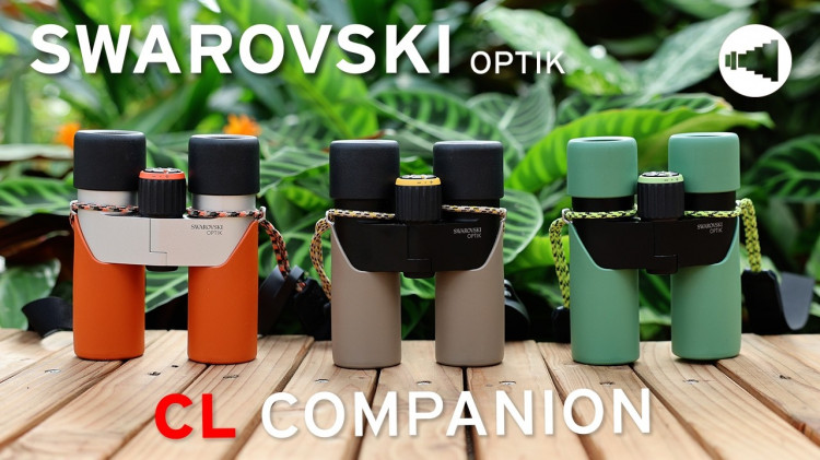Swarovski Optik CL Companion Ferngläser im Check #swarovskioptik #fernglas