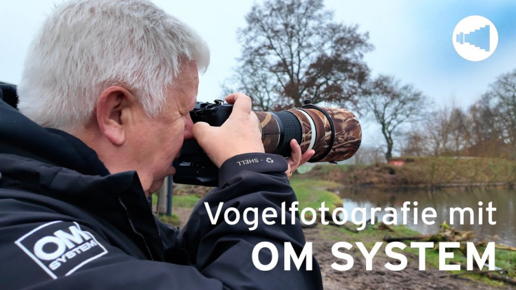 Vogelfotografie mit OM System - Tipps vom Profi